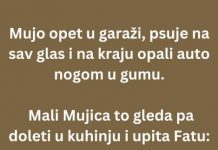 VIC DANA: Mujo i stari auto