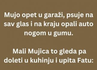 VIC DANA: Mujo i stari auto