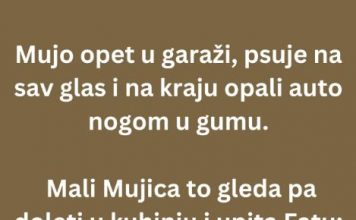 VIC DANA: Mujo i stari auto