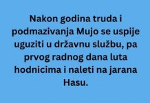 VIC DANA: Mujo u državnoj firmi