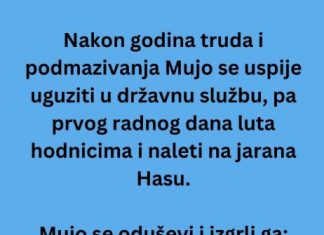 VIC DANA: Mujo u državnoj firmi