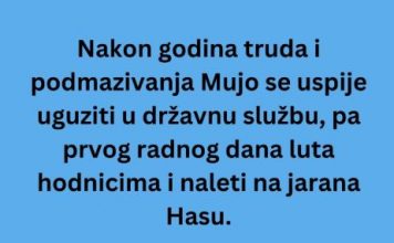 VIC DANA: Mujo u državnoj firmi