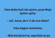 VIC DANA: Jarani i jaranice