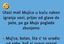 VIC DANA: Mali Mujica
