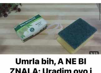 Umrla bih, A NE BI ZNALA: Uradim ovo i toalet miriše 100 dana!