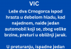 VIC DANA: Leže dva crnogorca