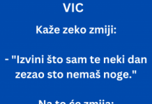 VIC DANA: Zec i Zmija