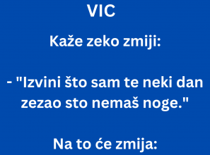 VIC DANA: Zec i Zmija