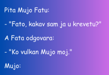 VIC DANA: Fata, Mujo i vulkan