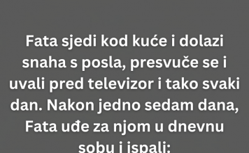 VIC DANA: Fata i problemi sa snahom