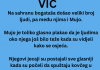 VIC DANA: Mujo na sahrani bogataša