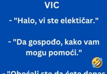 VIC DANA: Električar