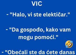 VIC DANA: Električar