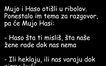 VIC DANA: Mujo i Haso u ribolovu