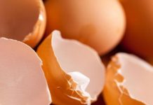 BACATE LJUSKE OD JAJA? OGROMNA GREŠKA! Evo 6 genijalnih razloga zašto ih MORATE sačuvati!