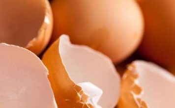 BACATE LJUSKE OD JAJA? OGROMNA GREŠKA! Evo 6 genijalnih razloga zašto ih MORATE sačuvati!