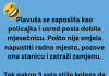 VIC DANA: Plavuša policajka