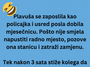 VIC DANA: Plavuša policajka
