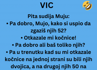 VIC DANA: Muji otkazale kočinice