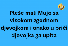 VIC DANA: Mujo frajer