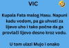 VIC DANA: Kupala Fata malog Hasu