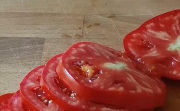 KO NE SME NIKAKO DA JEDE PARADAJZ? Ako se lečite od ovih bolesti, BACITE GA ODMAH, nije vredan narušavanja vašeg ZDRAVLJA