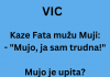 VIC DANA: Fata je trudna