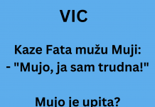 VIC DANA: Fata je trudna