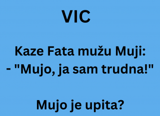 VIC DANA: Fata je trudna