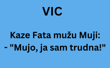 VIC DANA: Fata je trudna