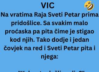 VIC DANA: Na vratima raja