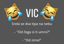 VIC DANA: Na nebu