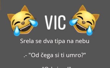 VIC DANA: Na nebu