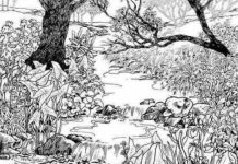 Samo GENIJALCI vide ženu na ovoj slici – Možete li VI da je pronađete?