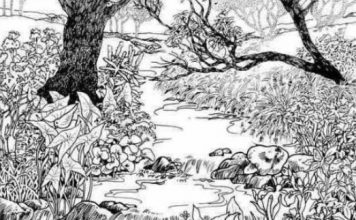 Samo GENIJALCI vide ženu na ovoj slici – Možete li VI da je pronađete?