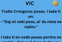 VIC DANA: Tražio Crnogorac posao