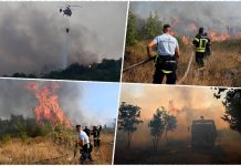 PAKAO NA ZEMLJI, POŽARI U CRNOJ GORI SATIRU SVE PRED SOBOM! Vatra se ne smiruje, buknula nova žarišta SCENE UŽASA OBILAZE SVET! (VIDEO) PAKAO NA ZEMLJI, POŽARI U CRNOJ GORI SATIRU SVE PRED SOBOM! Vatra se ne smiruje, buknula nova žarišta SCENE UŽASA OBILAZE SVET! (VIDEO) - featured image