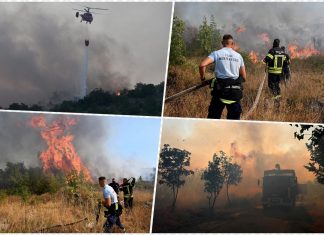 PAKAO NA ZEMLJI, POŽARI U CRNOJ GORI SATIRU SVE PRED SOBOM! Vatra se ne smiruje, buknula nova žarišta SCENE UŽASA OBILAZE SVET! (VIDEO) PAKAO NA ZEMLJI, POŽARI U CRNOJ GORI SATIRU SVE PRED SOBOM! Vatra se ne smiruje, buknula nova žarišta SCENE UŽASA OBILAZE SVET! (VIDEO) - featured image