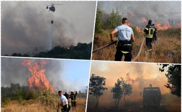 PAKAO NA ZEMLJI, POŽARI U CRNOJ GORI SATIRU SVE PRED SOBOM! Vatra se ne smiruje, buknula nova žarišta SCENE UŽASA OBILAZE SVET! (VIDEO) PAKAO NA ZEMLJI, POŽARI U CRNOJ GORI SATIRU SVE PRED SOBOM! Vatra se ne smiruje, buknula nova žarišta SCENE UŽASA OBILAZE SVET! (VIDEO) - featured image