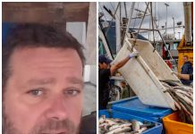 Božidar u fabrici ribe na Aljasci radi 12 sati dnevno, ali za dva i po meseca zaradi pravo bogatstvo! “Ovo je raj na zemlji, ali ima jedna mana!” Božidar u fabrici ribe na Aljasci radi 12 sati dnevno, ali za dva i po meseca zaradi pravo bogatstvo! "Ovo je raj na zemlji, ali ima jedna mana!" - featured image