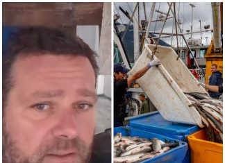 Božidar u fabrici ribe na Aljasci radi 12 sati dnevno, ali za dva i po meseca zaradi pravo bogatstvo! “Ovo je raj na zemlji, ali ima jedna mana!” Božidar u fabrici ribe na Aljasci radi 12 sati dnevno, ali za dva i po meseca zaradi pravo bogatstvo! "Ovo je raj na zemlji, ali ima jedna mana!" - featured image