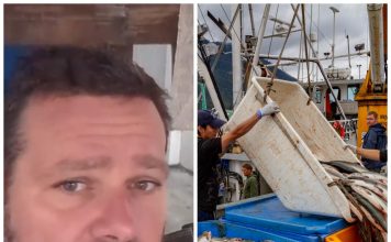 Božidar u fabrici ribe na Aljasci radi 12 sati dnevno, ali za dva i po meseca zaradi pravo bogatstvo! “Ovo je raj na zemlji, ali ima jedna mana!” Božidar u fabrici ribe na Aljasci radi 12 sati dnevno, ali za dva i po meseca zaradi pravo bogatstvo! "Ovo je raj na zemlji, ali ima jedna mana!" - featured image