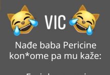 VIC DANA: Baba savjetuje unuka