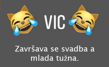 VIC DANA: Svekrva i snaja
