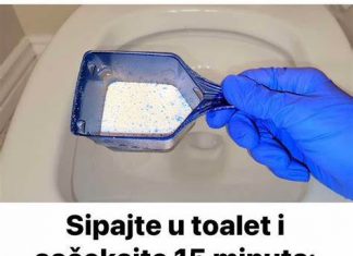 SIPAJTE U TOALET I SAČEKAJTE 15MINUTA: Domaći trik koji bi SVI trebali znati!