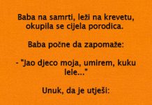 VIC DANA: Baba na samrti