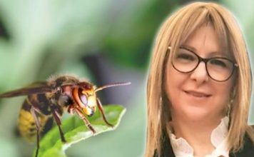 Doktorka upozorava: Ovi tihi simptomi nakon ujeda pčele, ose ili stršljena mogu biti SMRTONOSNI! Evo šta ODMAH treba da uradite!