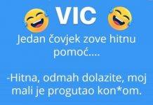 VIC DANA: Halo hitna!