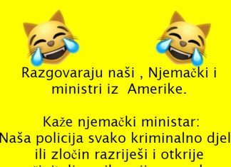 VIC DANA: Hvali se ministar