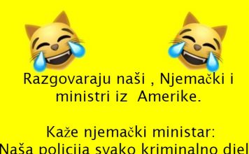 VIC DANA: Hvali se ministar